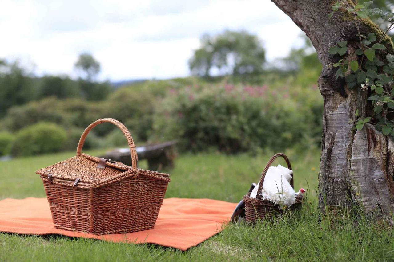 Domaine De Ronchinne - Insolites Maillen エクステリア 写真