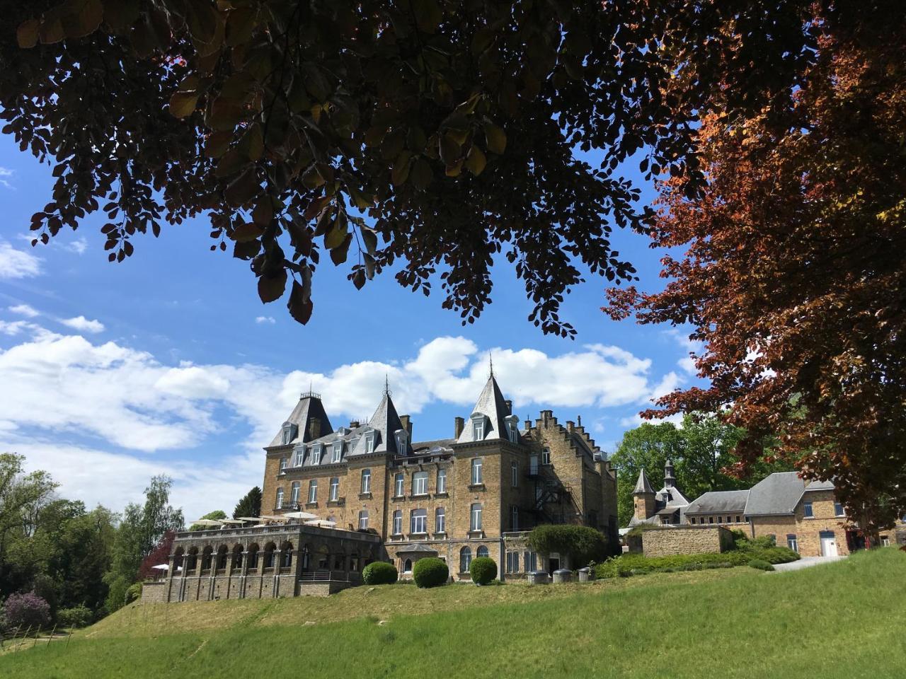 Domaine De Ronchinne - Insolites Maillen エクステリア 写真