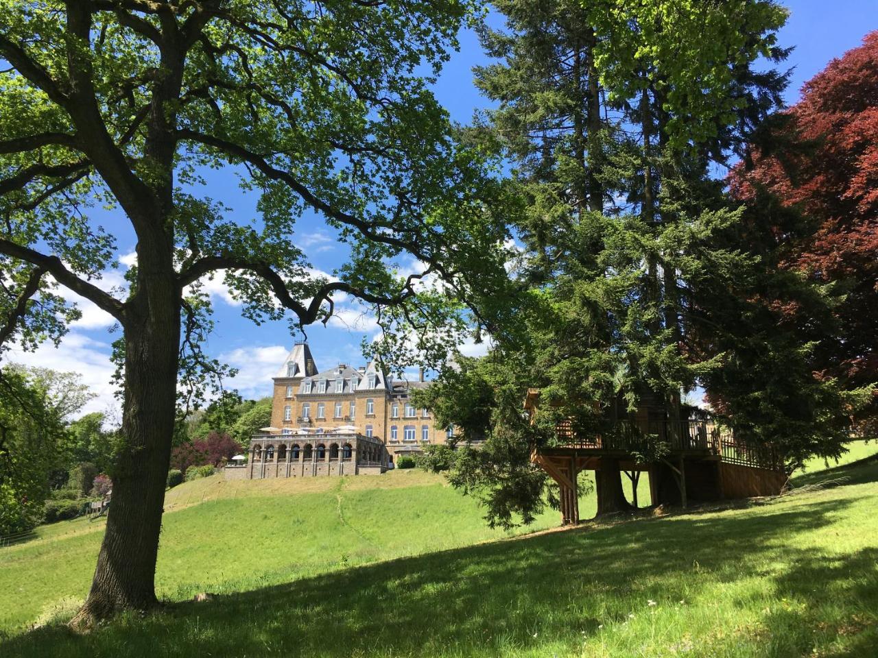 Domaine De Ronchinne - Insolites Maillen エクステリア 写真