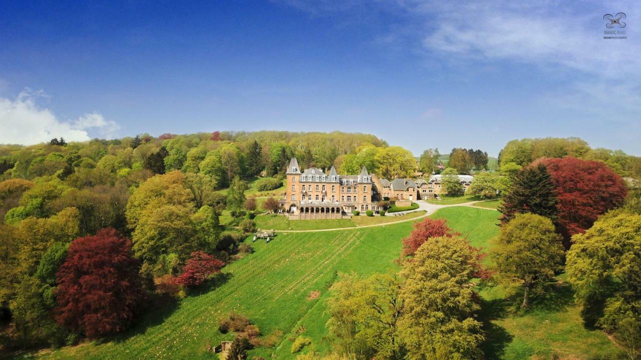 Domaine De Ronchinne - Insolites Maillen エクステリア 写真