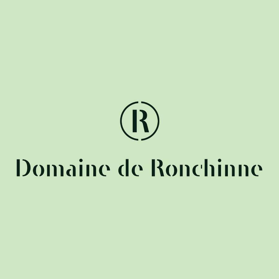 Domaine De Ronchinne - Insolites Maillen エクステリア 写真