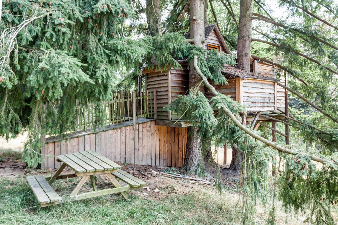 Domaine De Ronchinne - Insolites Maillen エクステリア 写真